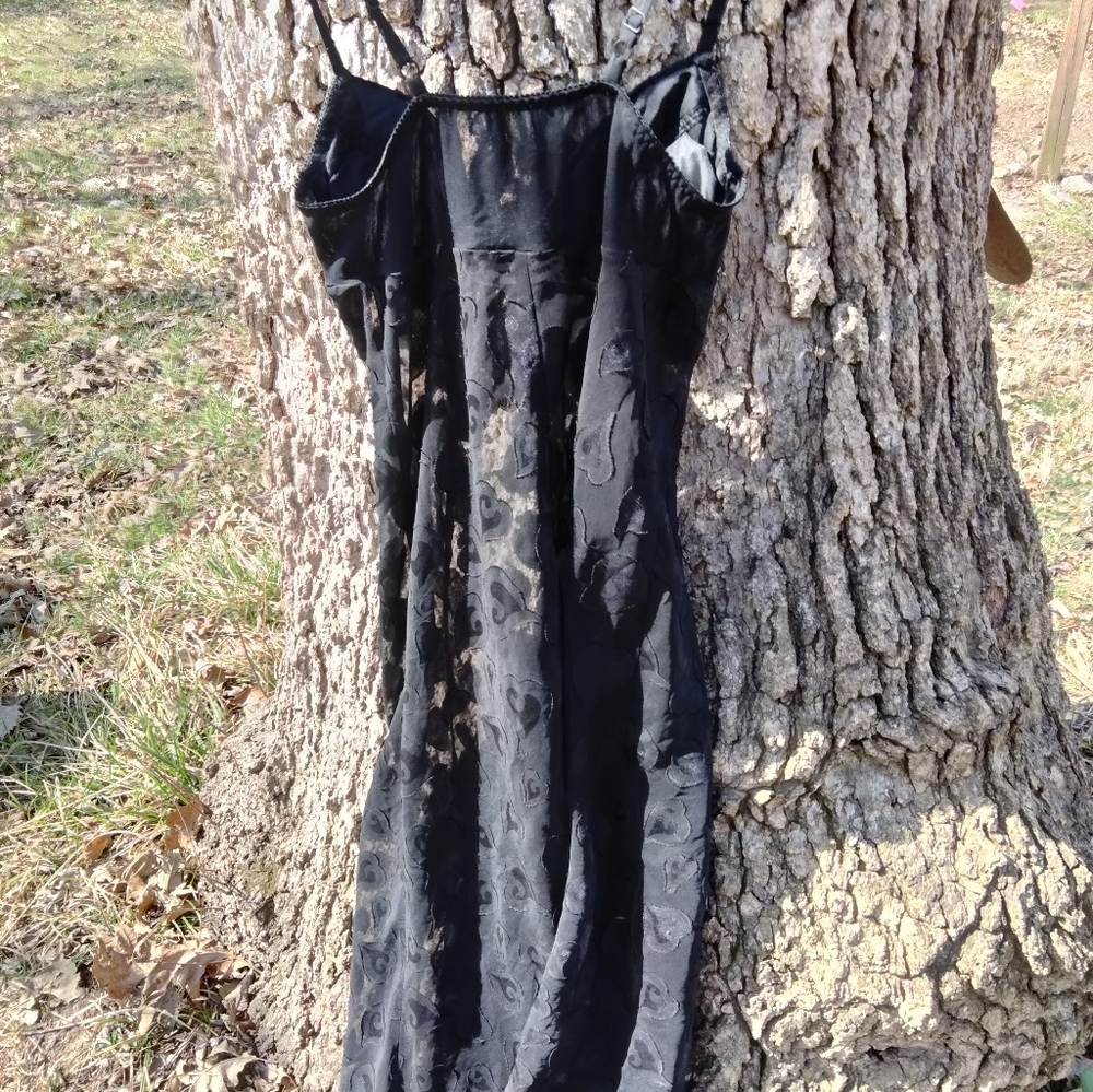 ⬇️Price Drop!⬇️ Victoria's Secret Sheer Applique Gown in size S - Picture 2 of 4